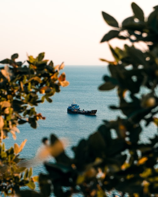 Understanding Vessel Sourcing